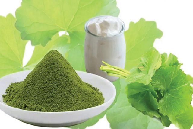 5 cách làm đẹp da từ rau má cực dễ